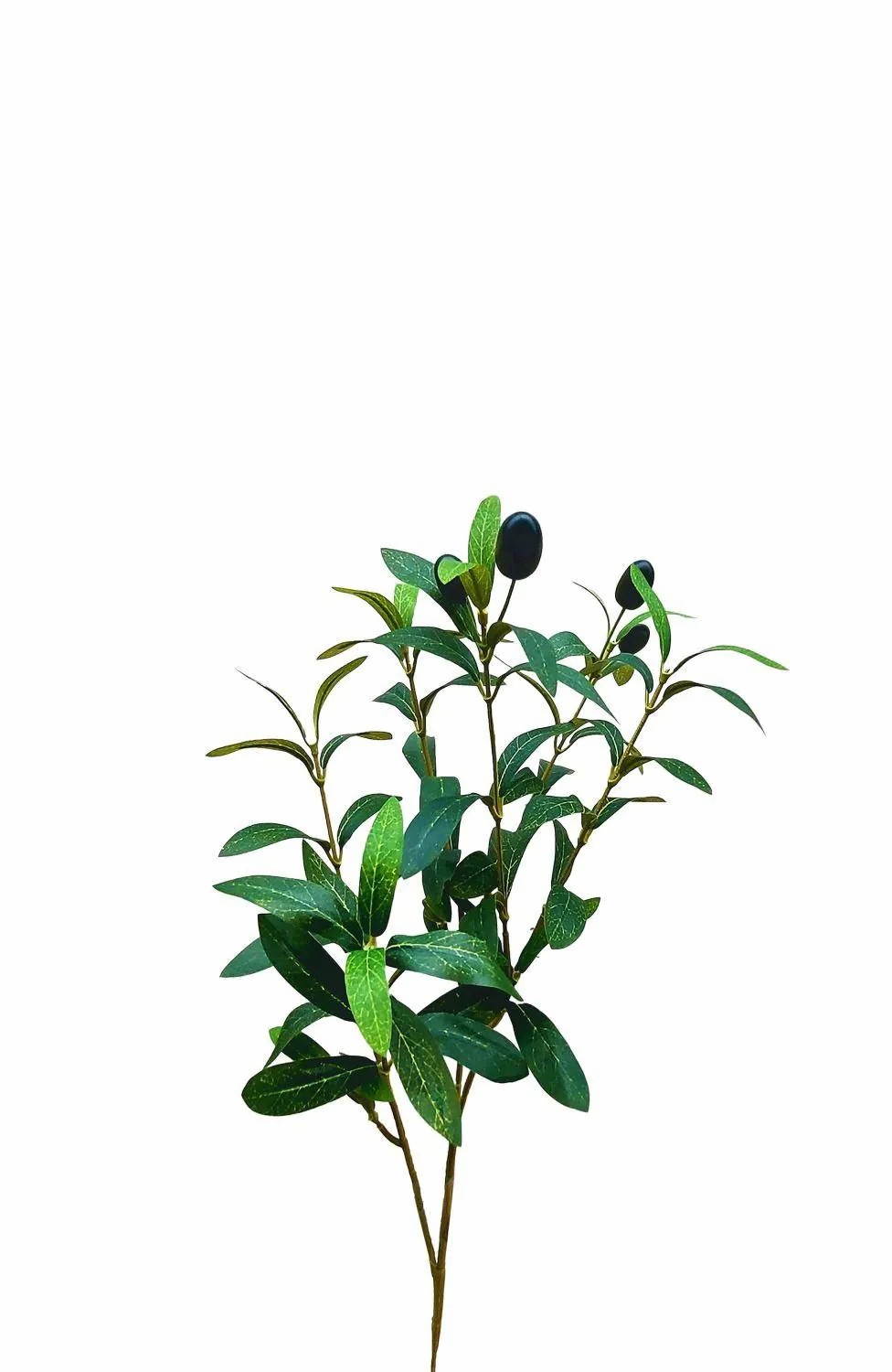 Olive trees | Artificial Olive Branch Narkada With Fruits, Green, 20"/50Cm Artificial Trees Green