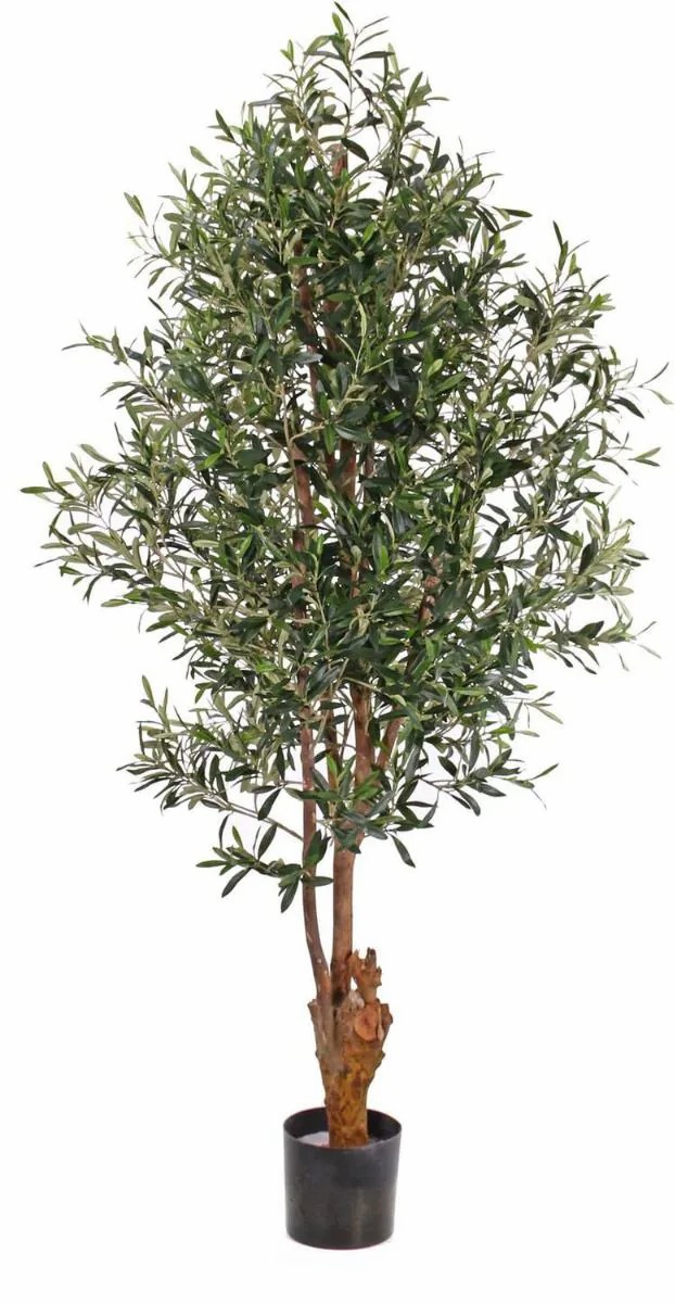 Olive trees | Artificial Olive Tree Finlor, Real Trunk, With Fruits, Crossdoor, 6Ft/170Cm Artificial Trees Green