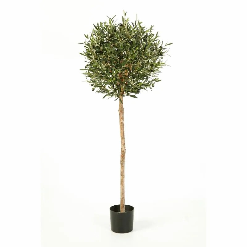 Olive trees | Artificial Olive Tree Platon, Real Trunk, With Fruits, 5Ft/140Cm, Ø22"/55Cm Artificial Trees Green