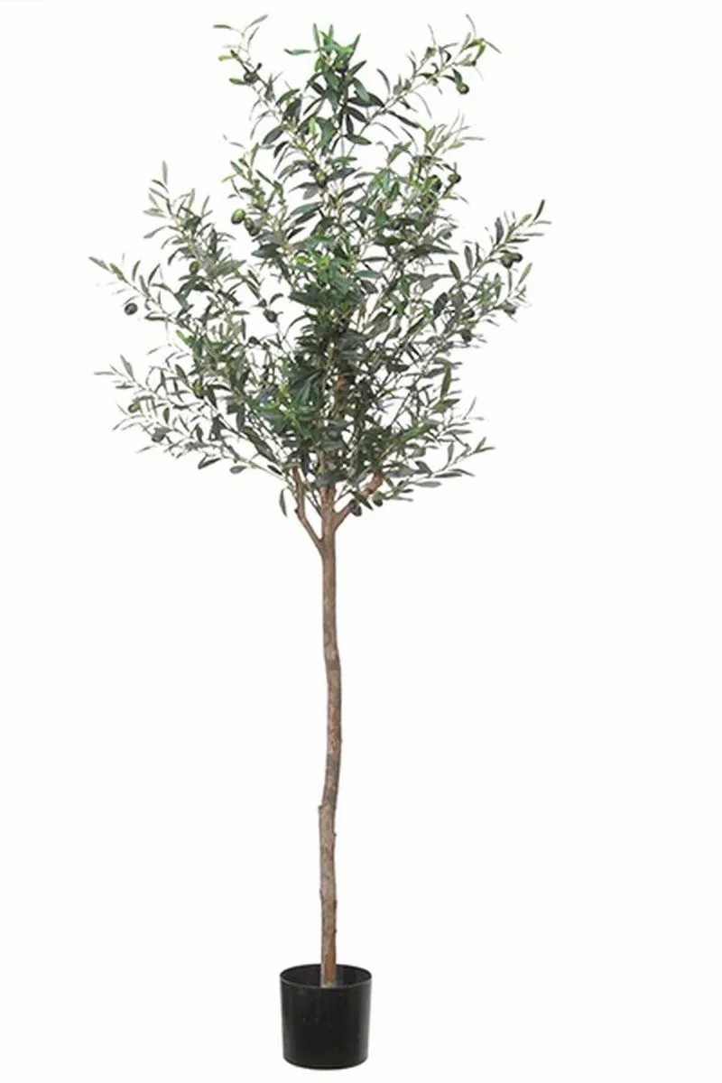 Olive trees | Decorative Olive Tree Blazo With Fruits, Natural Trunk, 6Ft/180Cm Artificial Trees Green