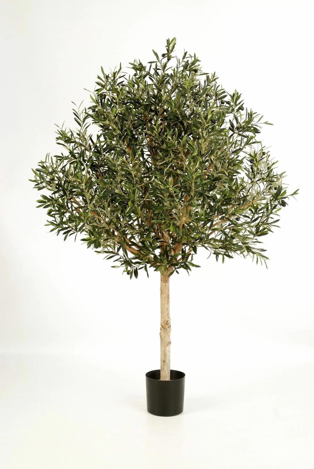 Olive trees | Fake Olive Tree Nikolas, Natural Stem, With Fruits, Green, 6Ft/180Cm Artificial Trees Green