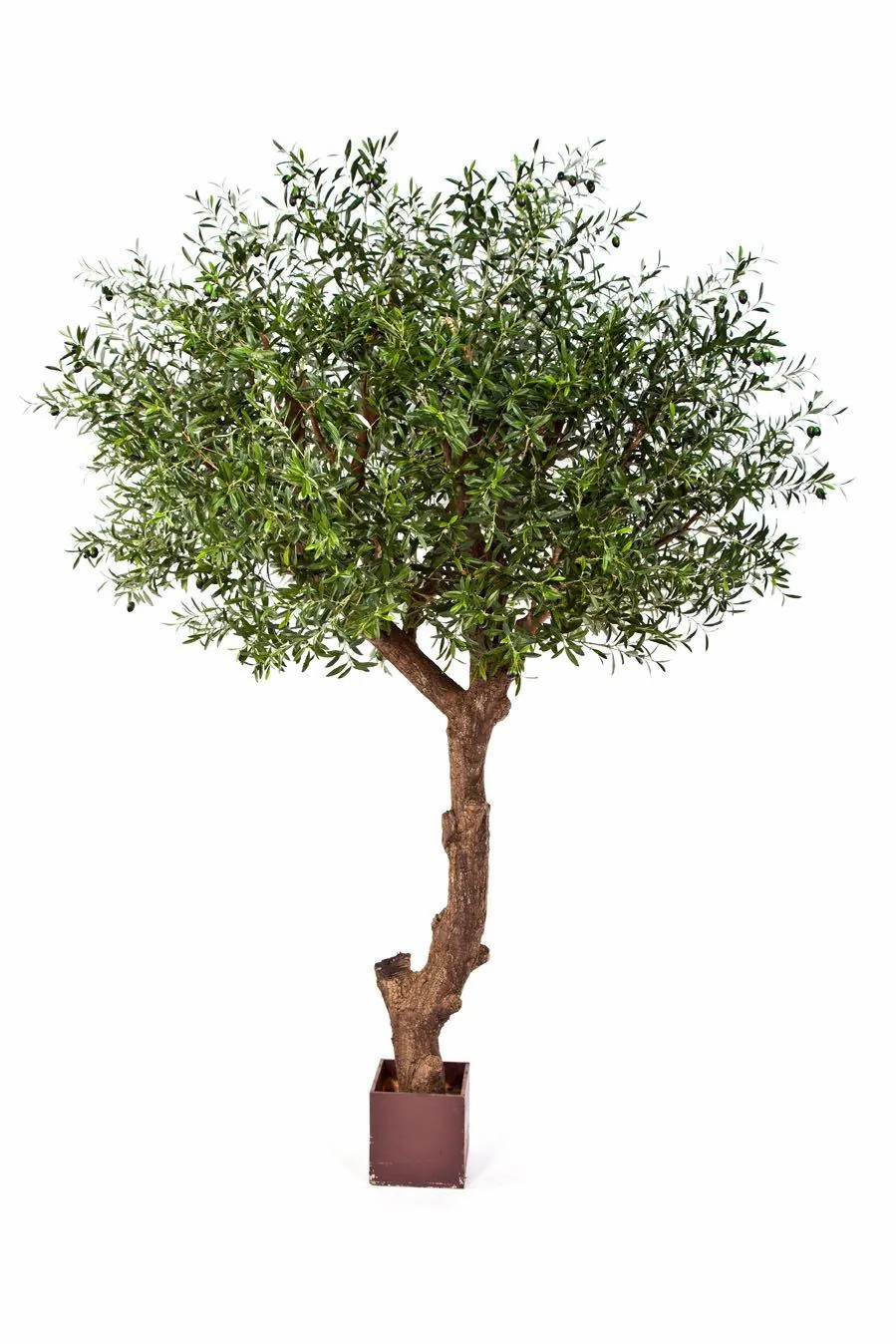 Olive trees | Fake Olive Tree Nikolas, Natural Stem, With Fruits, Green, 9Ft/270Cm Artificial Trees Green