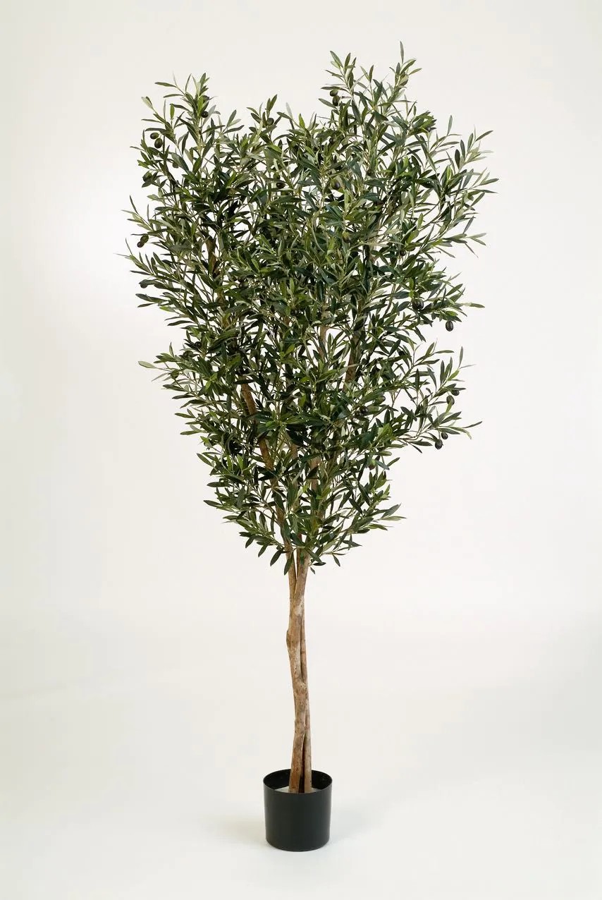 Olive trees | Fake Olive Tree Philipos, Real Stems, With Fruits, Green, 4Ft/120Cm Artificial Trees Green