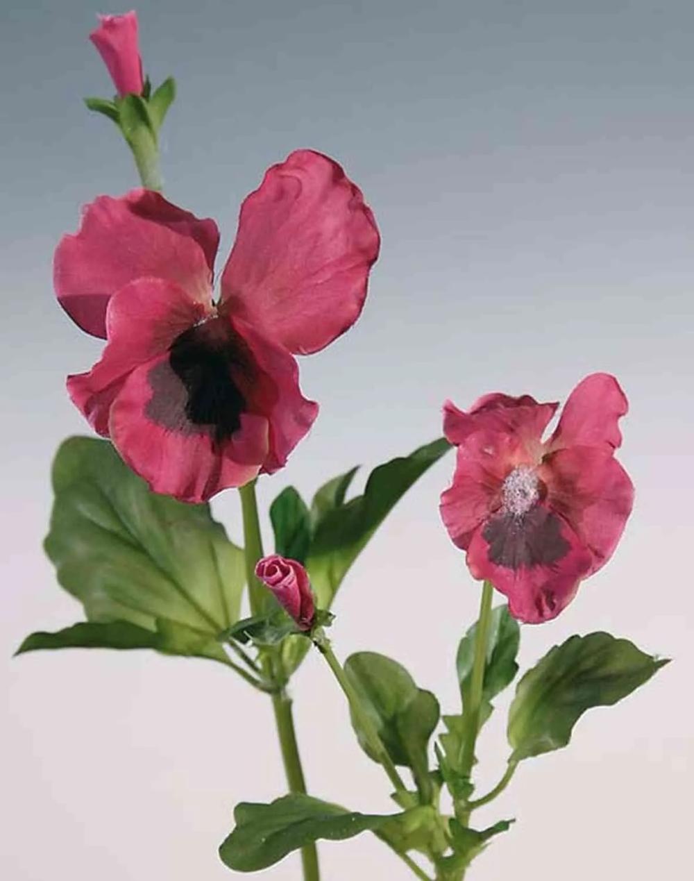 Pansy | Artificial Pansy Melinda, Pink, 12"/30Cm Artificial Flowers Pansy