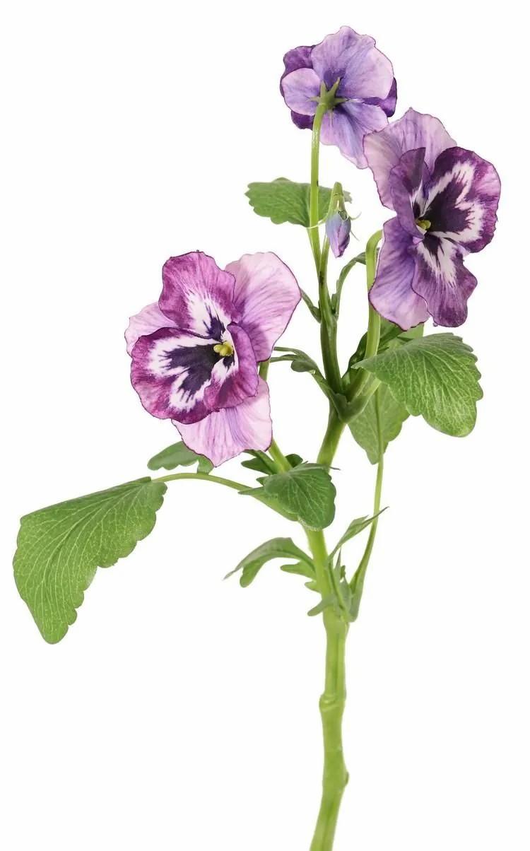 Pansy | Decorative Branch Pansy Sianie, Violet-White, 14"/35Cm, Ø1.6"-2.4"/4-6Cm Artificial Flowers Pansy