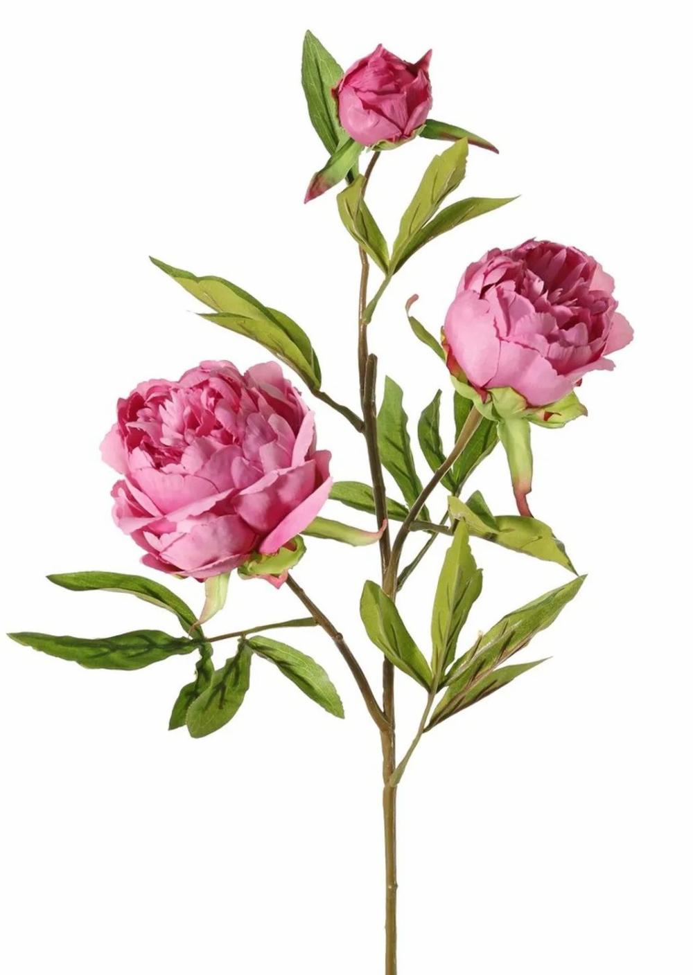 Peony | Artificial Branch Peony Manja, Dusky Pink-Fuchsia, 28"/70Cm, Ø3.1"-4"/8-10Cm Artificial Flowers Peony