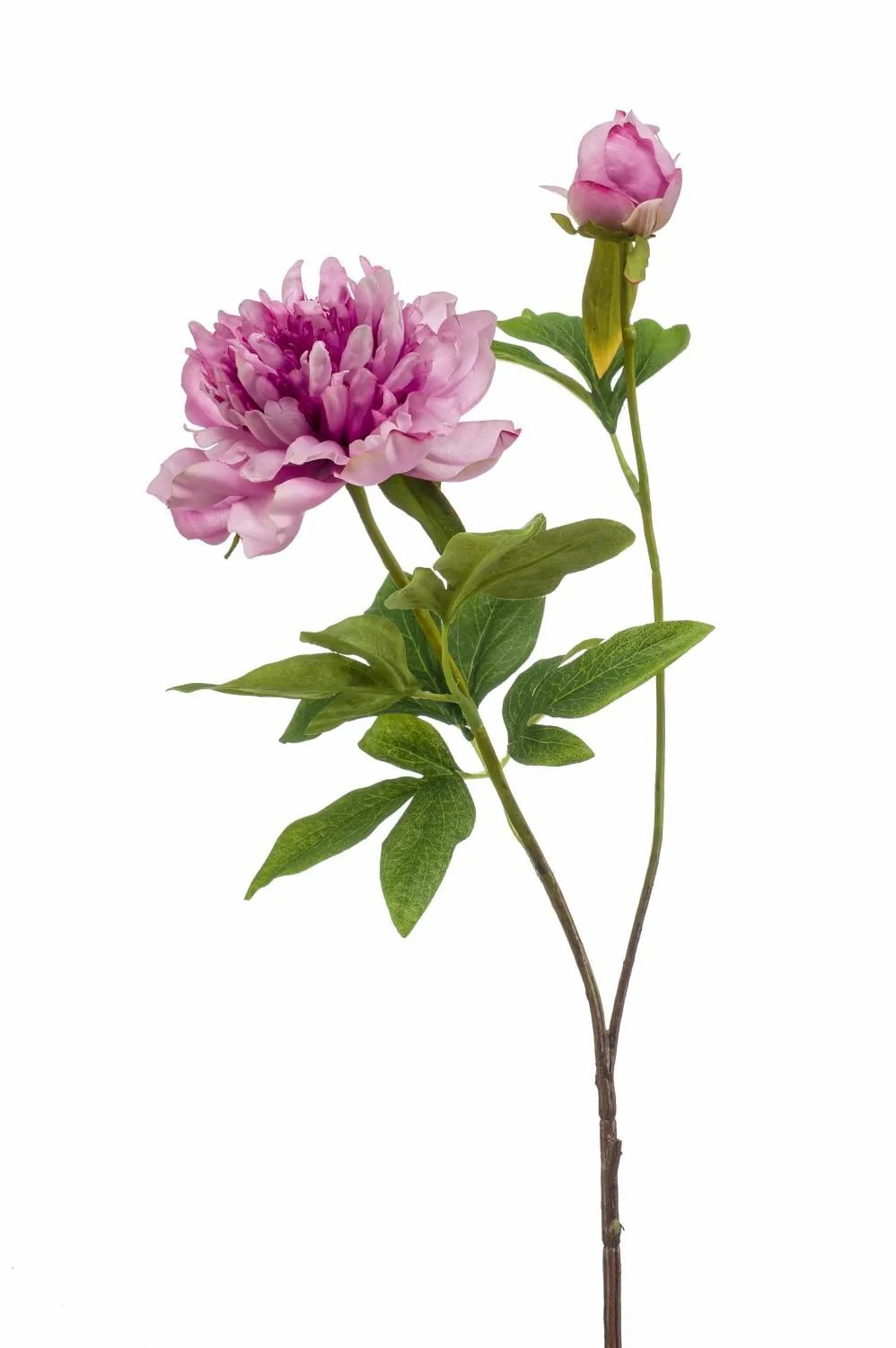 Peony | Artificial Peony Badis, Purple, 30"/75 Cm Artificial Flowers Peony