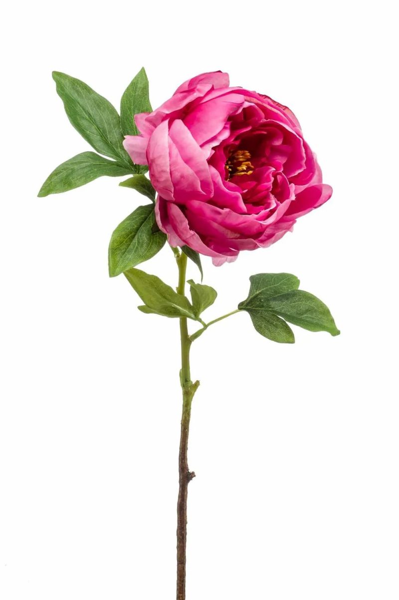 Peony | Artificial Peony Barbro, Fuchsia, 26"/65 Cm Artificial Flowers Peony