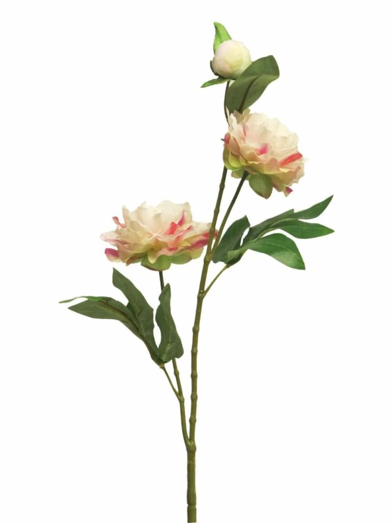 Peony | Artificial Peony Branch Yiling, Cream-Pink, 26"/65Cm Artificial Flowers Peony