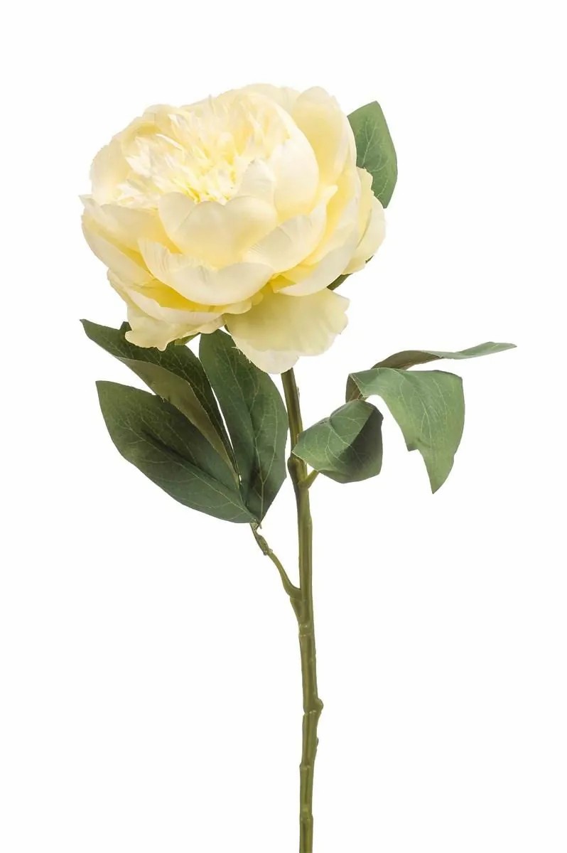 Peony | Artificial Peony Ifeoma, Cream, 26"/65Cm Artificial Flowers Peony