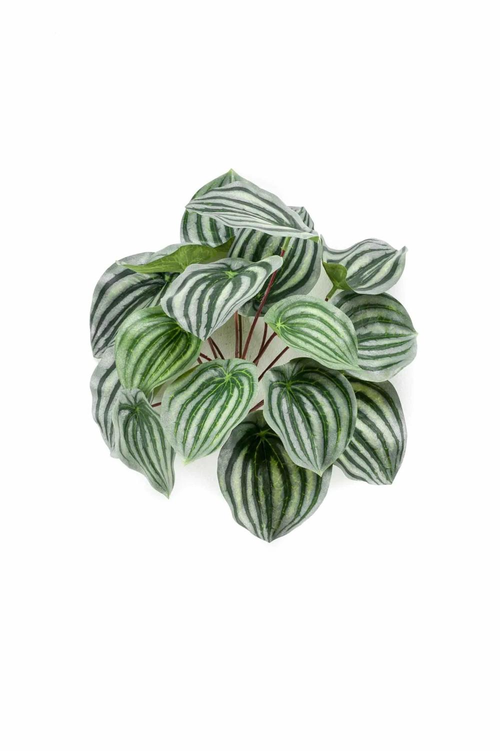 Peperomia | Artificial Baby Rubberplant Kepano On Spike, Green-White, 10"/25Cm Artificial Plants Green