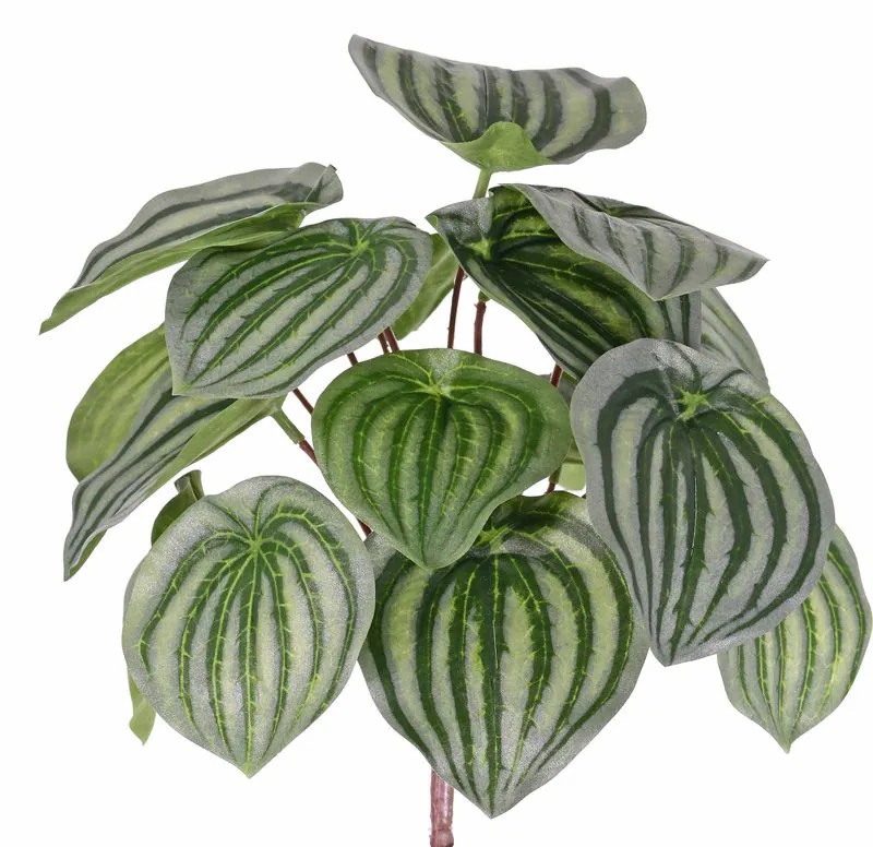 Peperomia | Artificial Peperomia Alara On Spike, Green, 10"/25Cm Artificial Plants Green