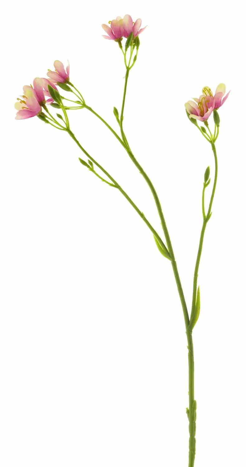 Petunia | Decorative Petunia Branch Yawei, Pink-Cream, 24"/60Cm Artificial Flowers Petunia