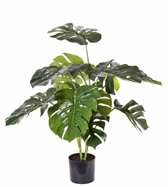 Philodendron | Artificial Philodendron Monstera Deliciosa Arelius, Green, 33"/85Cm Artificial Plants Green