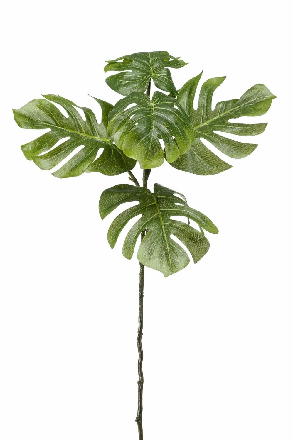 Philodendron | Artificial Philodendron Monstera Deliciosa Branch Alnilam, 26"/65 Cm Artificial Plants Green