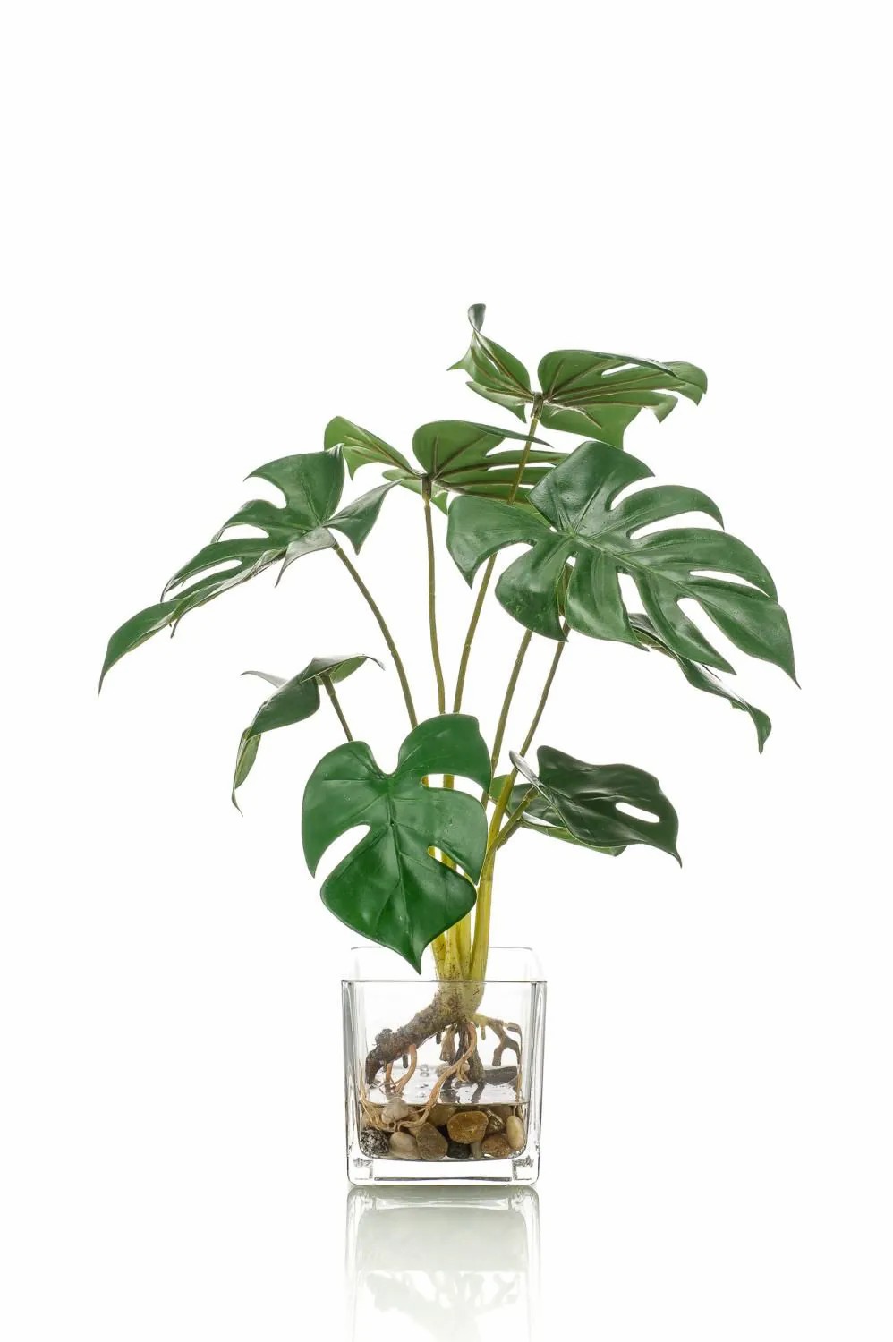 Philodendron | Fake Philodendron Monstera Deliciosa Pavonis In Glass Pot, 16"/40 Cm Artificial Plants Green