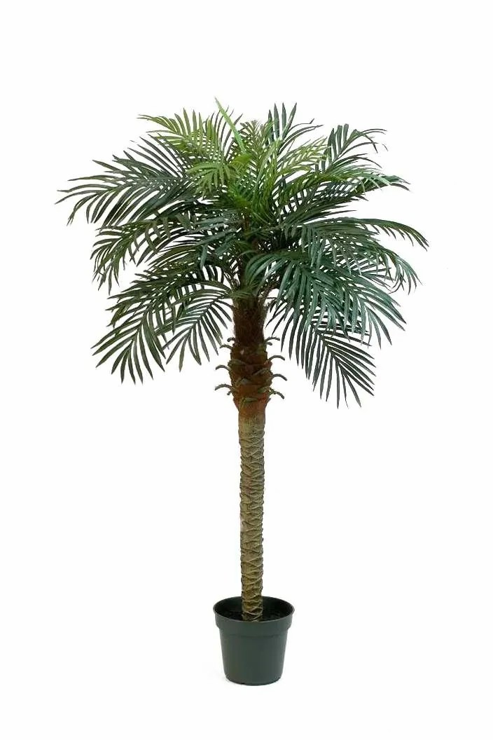 Phoenix palms | Fake Phoenix Palm Camila, 5Ft/150Cm Artificial Palms Green