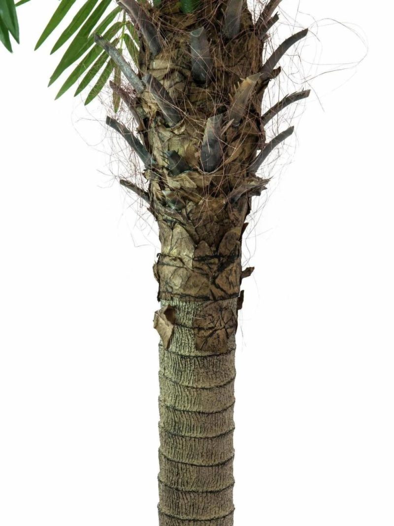 Phoenix palms | Fake Phoenix Palm Carter, 10Ft/300Cm Artificial Palms Green