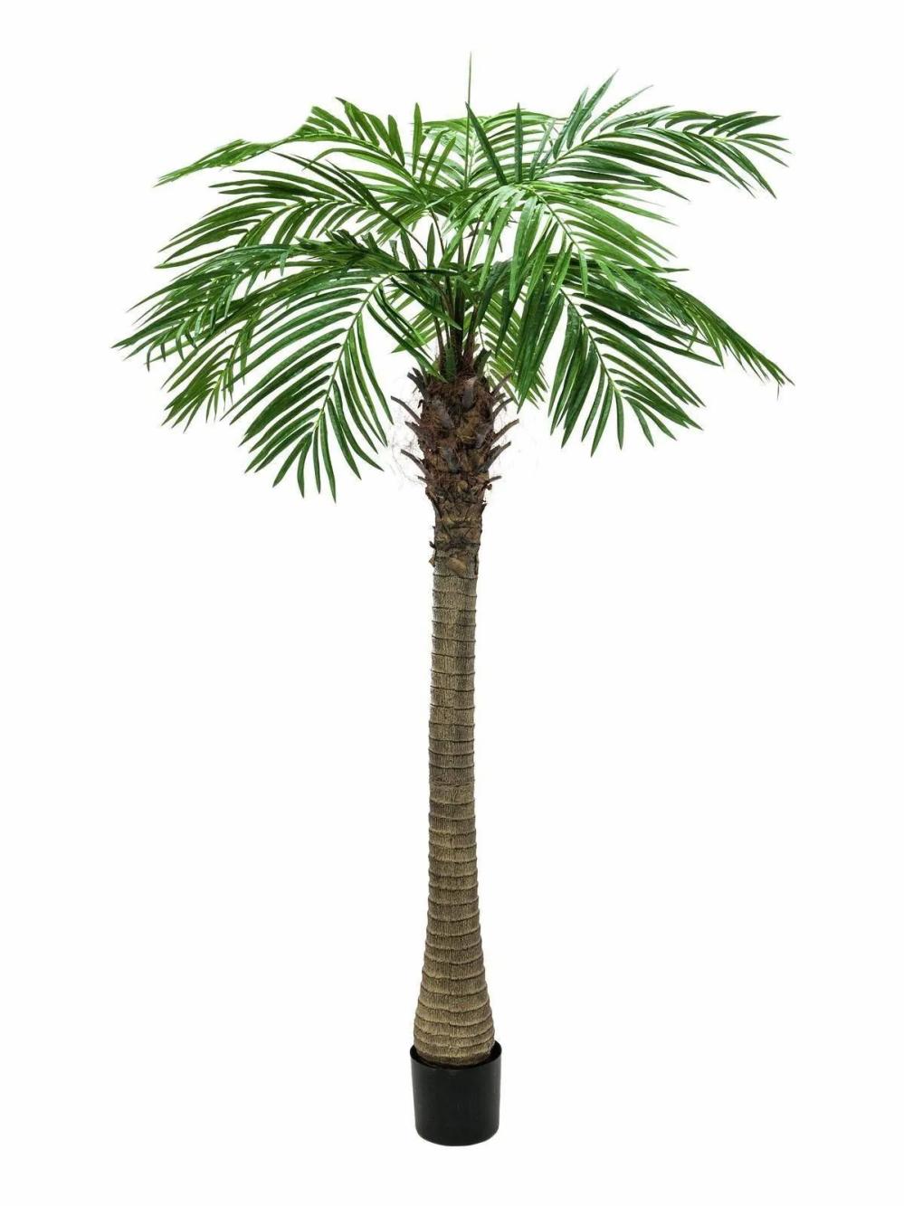 Phoenix palms | Fake Phoenix Palm Carter, 5Ft/150Cm Artificial Palms Green