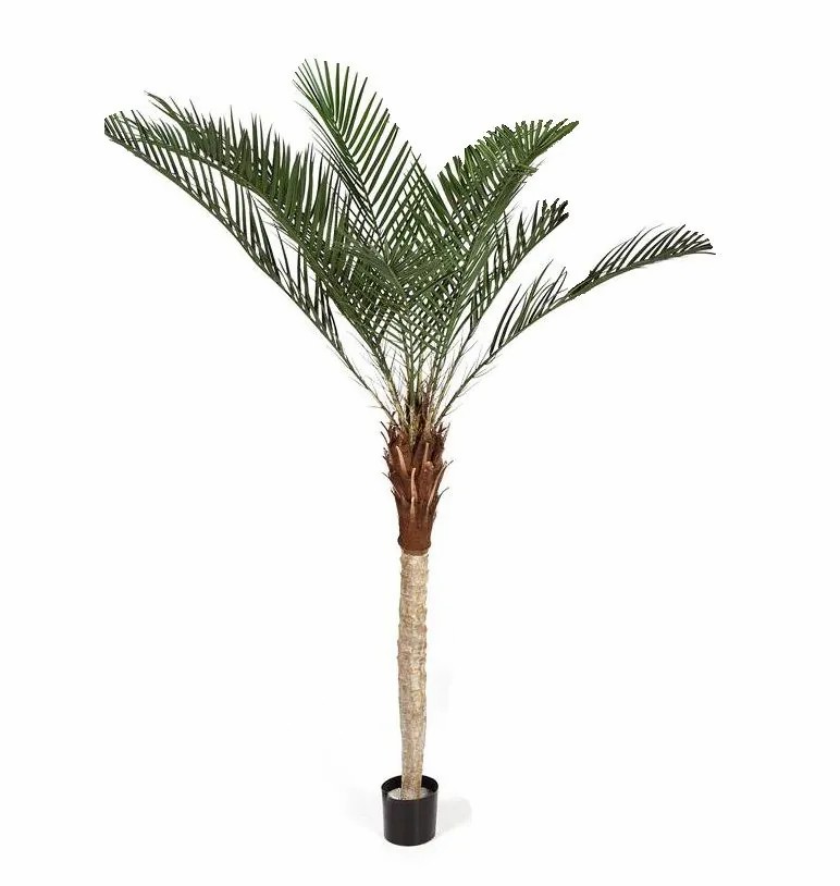 Phoenix palms | Fake Phoenix Palm Eliton, 6Ft/180Cm Artificial Palms Green