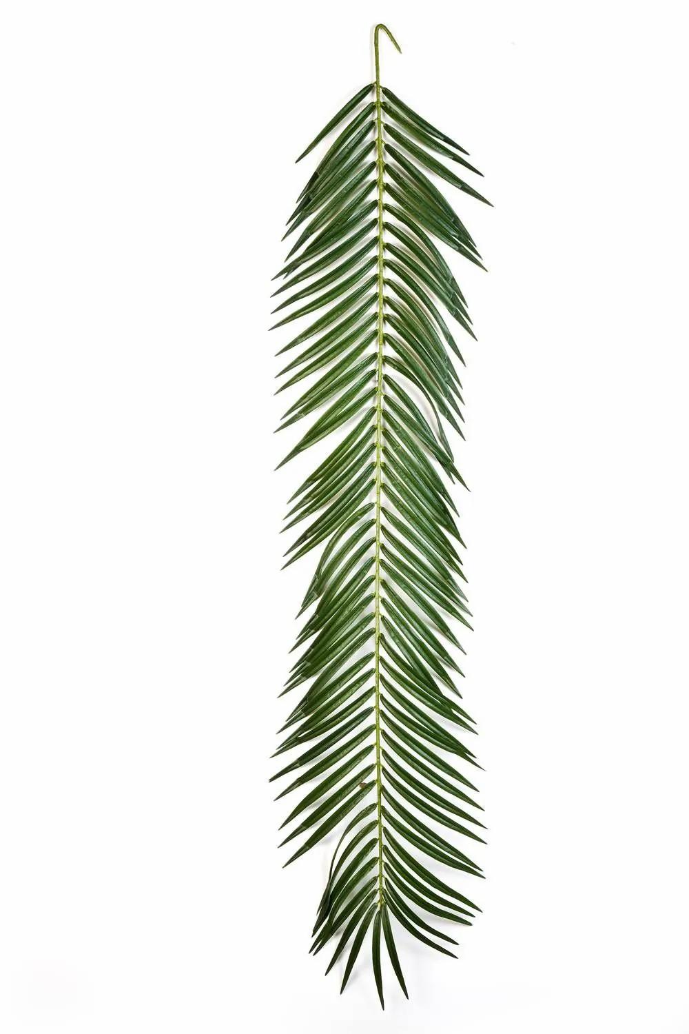 Phoenix palms | Fake Phoenix Palm Frond Jaime, 4Ft/125Cm Artificial Palms Green