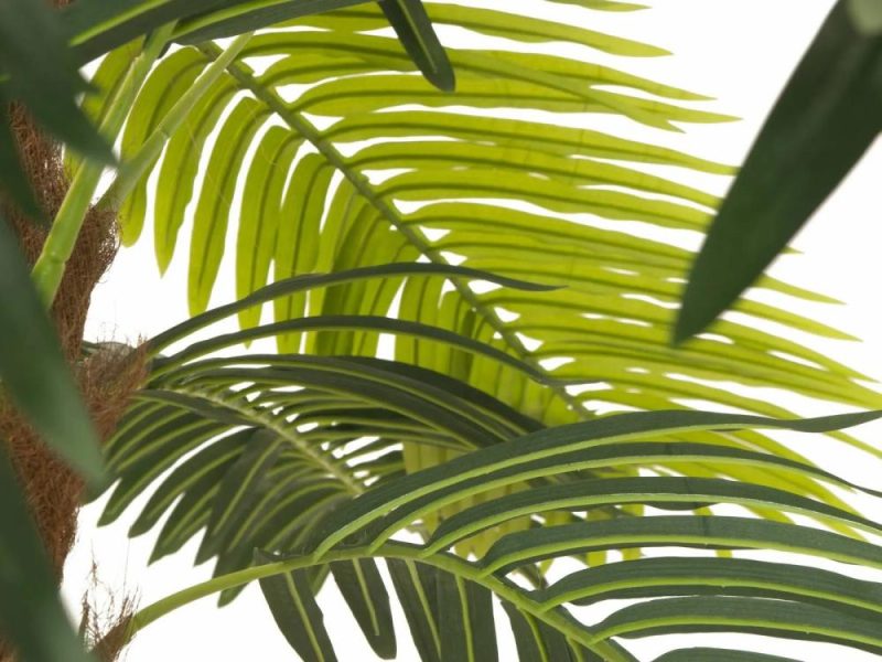 Phoenix palms | Plastic Phoenix Palm Joleen, 10Ft/300Cm Artificial Palms Green