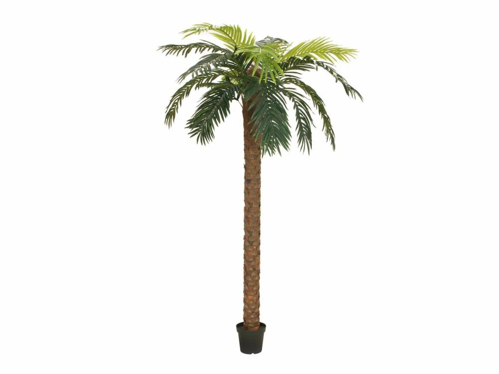 Phoenix palms | Plastic Phoenix Palm Joleen, 8Ft/250Cm Artificial Palms Green