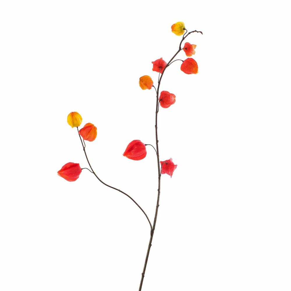 Physalis | Artificial Physalis Branch Marcy, Fruits, Red-Orange, 3Ft/95Cm Artificial Plants Orange