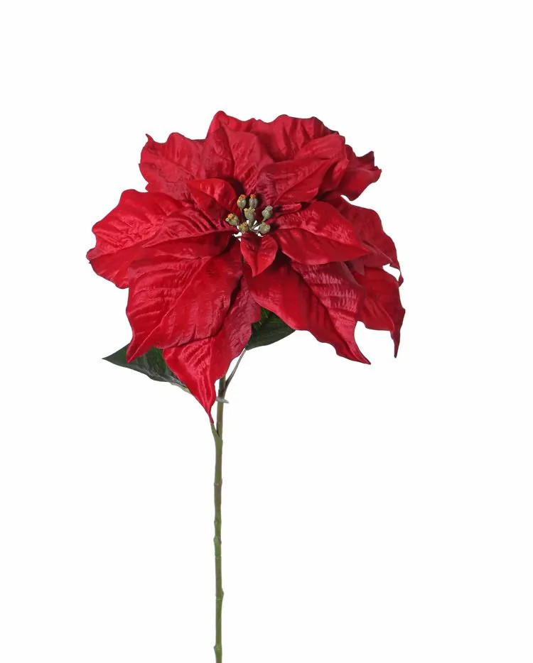 Poinsettia | Artificial Poinsettia Korana, Red, 30"/75 Cm, Ø 13"/33 Cm Artificial Flowers Poinsettia