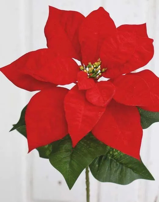 Poinsettia | Velvet Poinsettia Libasse, Red, 20"/50Cm Artificial Flowers Poinsettia