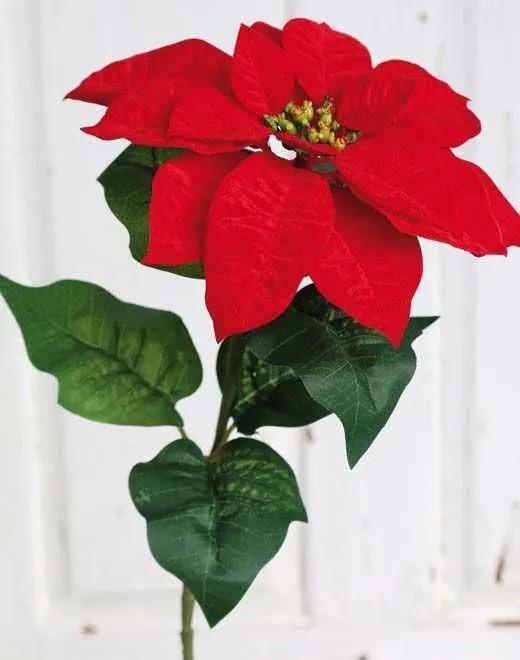 Poinsettia | Velvet Poinsettia Libasse, Red, 26"/65Cm Artificial Flowers Poinsettia