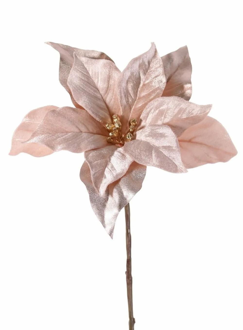 Poinsettia | Velvet Poinsettia Sheba, Beige-Pink, 22"/55Cm, Ø9.1"/23Cm Artificial Flowers Beige