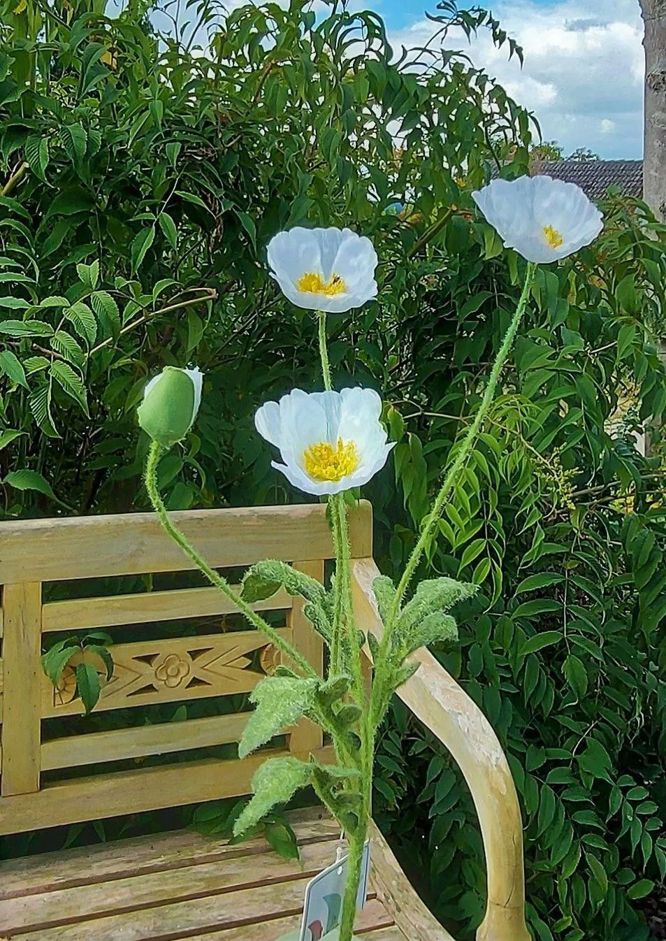 Poppies | Artificial Poppy Branch Oxandrine, Cream-White, 24"/60Cm Artificial Flowers Poppies