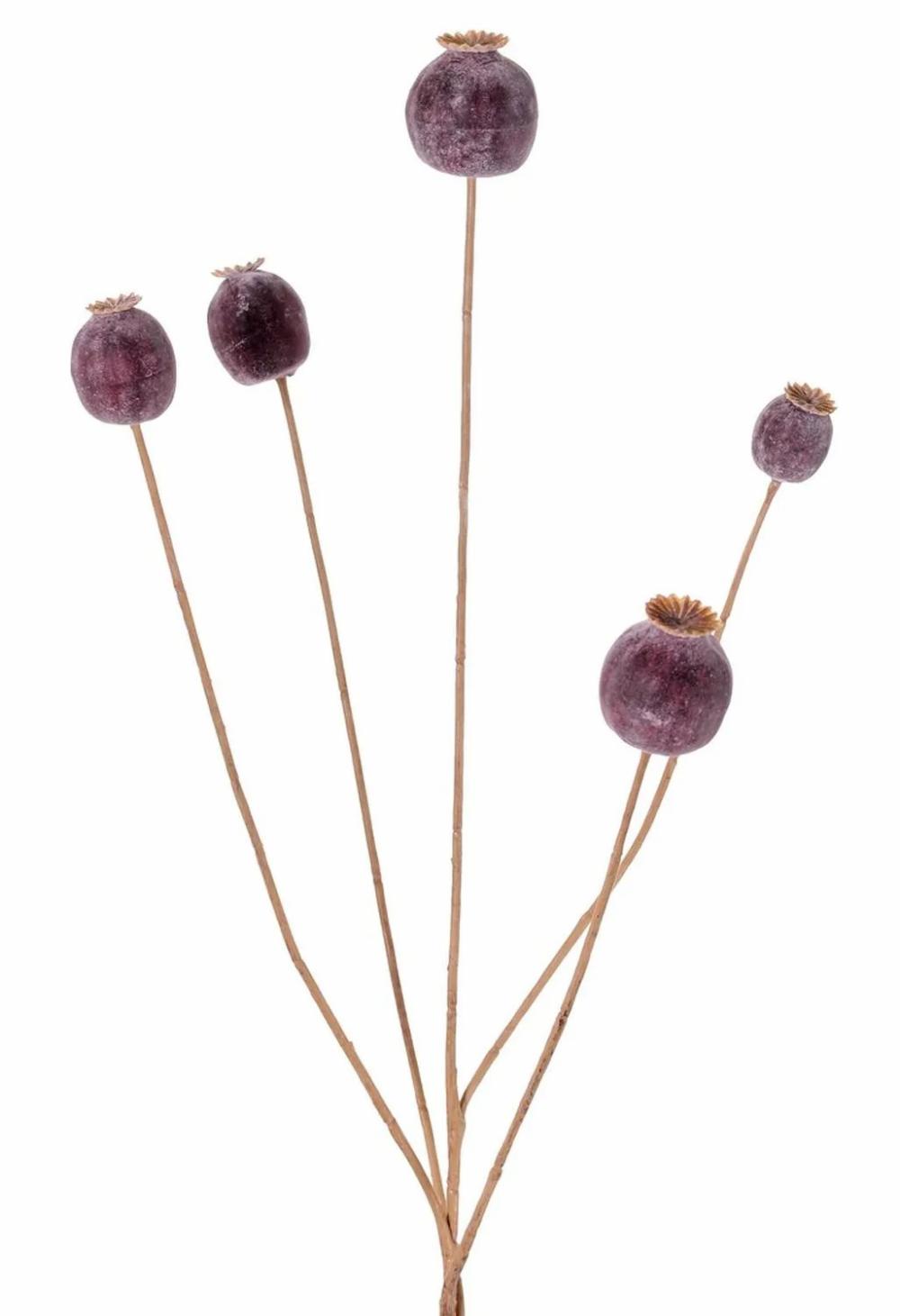 Poppies | Artificial Poppy Capsule Filomela, Dark Brown, 30"/75Cm Artificial Flowers Brown