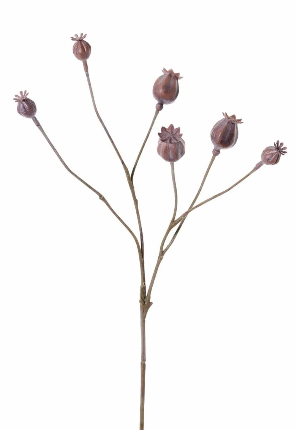 Poppies | Artificial Poppy Capsules Asuman, Brown, 28"/70Cm Artificial Flowers Brown