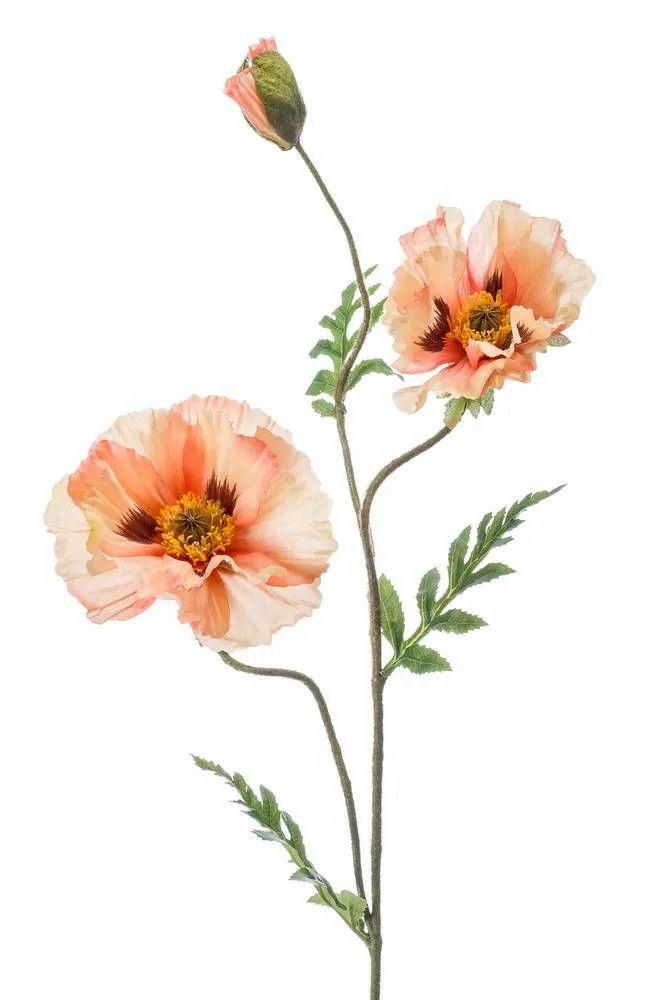 Poppies | Artificial Poppy Flower Lopez, Cream-Light Pink, 3Ft/90Cm Artificial Flowers Poppies