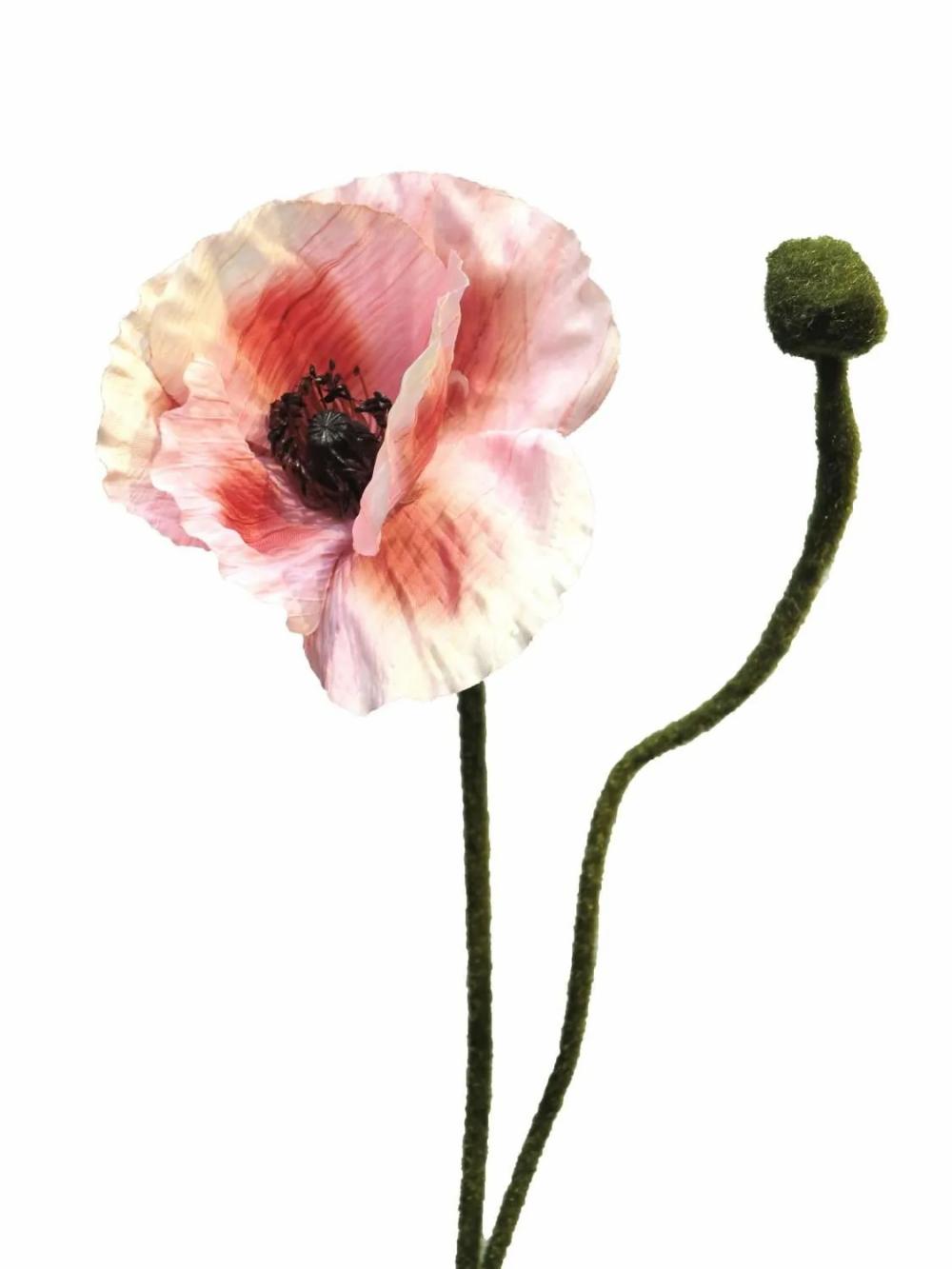 Poppies | Artificial Poppy Yilan, Pink-Fuchsia, 24"/60Cm Artificial Flowers Poppies