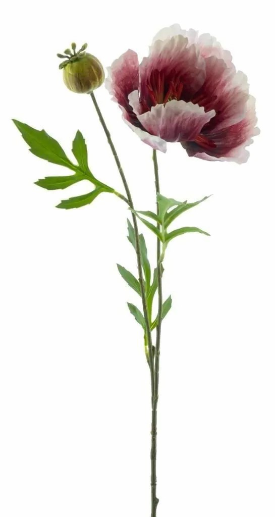 Poppies | Decorative Poppy Edessa, Fuchsia-White, 31"/80Cm Artificial Flowers Poppies