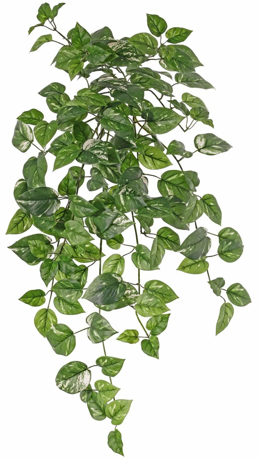 Pothos | Artificial Pothos Trailing Plant Fenix, Spike, Flame Retardant, Green, 31"/80Cm Artificial Plants Green