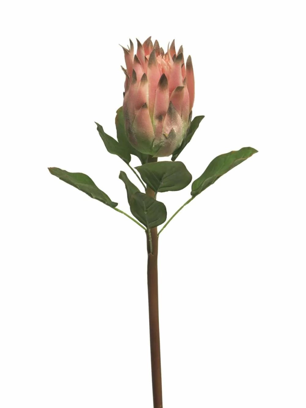 Protea | Artificial Protea Shuhui, Pink, 24"/60Cm Artificial Flowers Protea