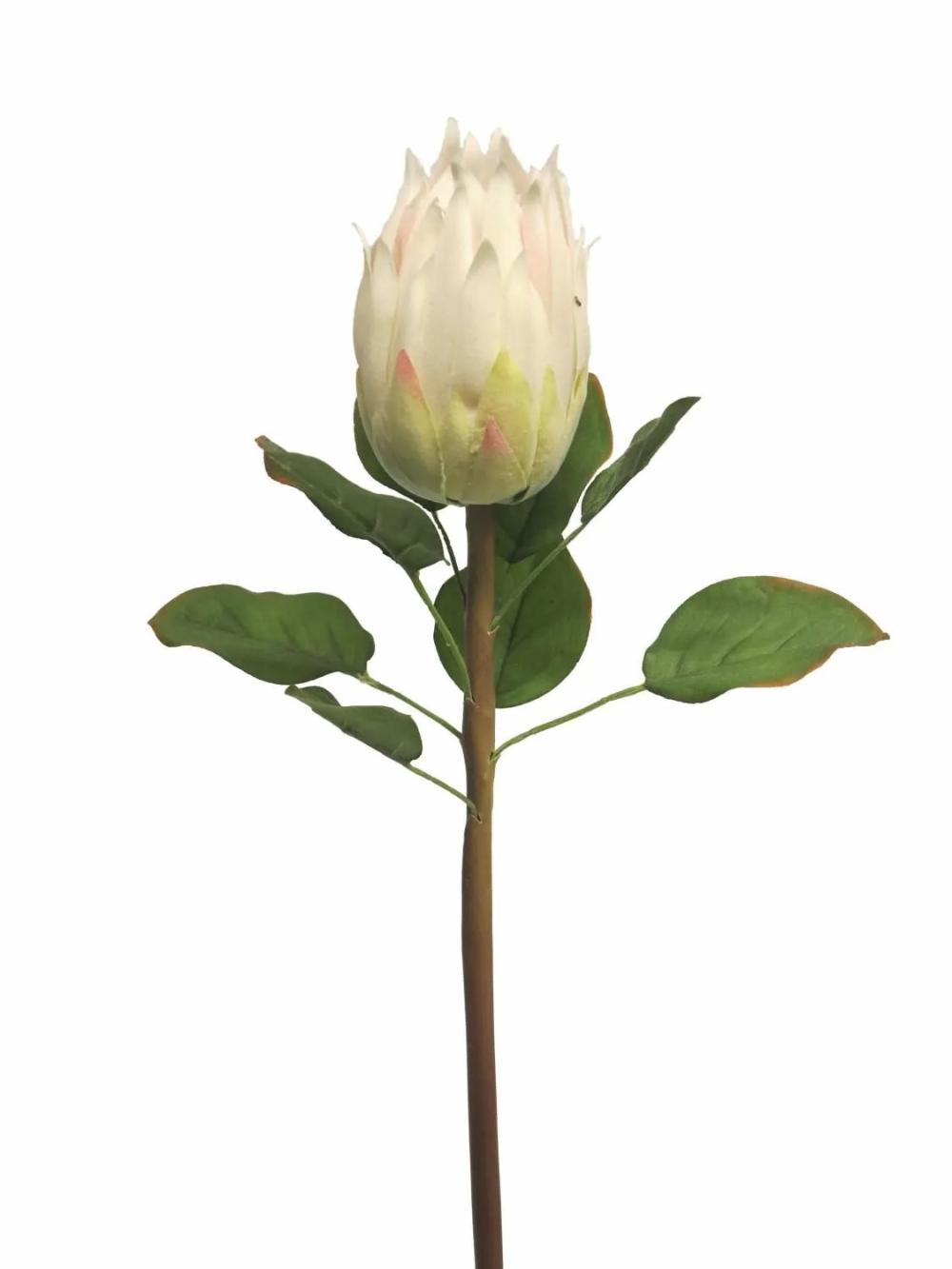 Protea | Artificial Protea Shuhui, White, 24"/60Cm Artificial Flowers Protea