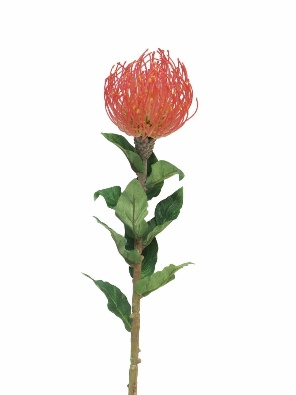 Protea | Artificial Protea Xifang, Red, 31"/75Cm Artificial Flowers Protea