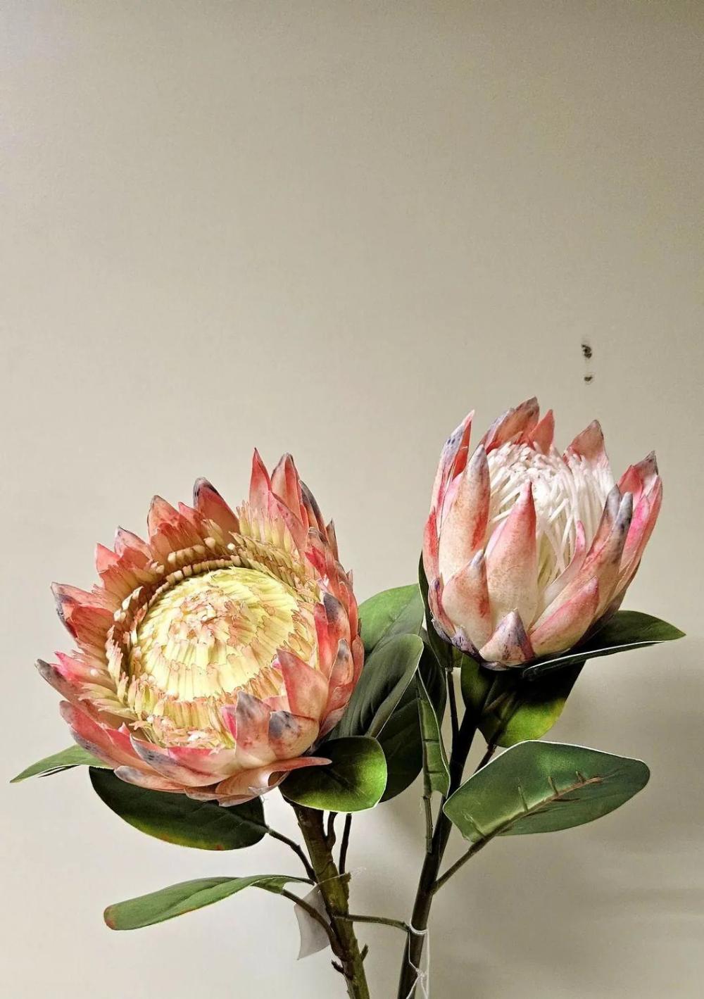 Protea | Decorative Flower Branch King Protea Tanieka, Pink-White, 26"/65Cm Artificial Flowers Protea