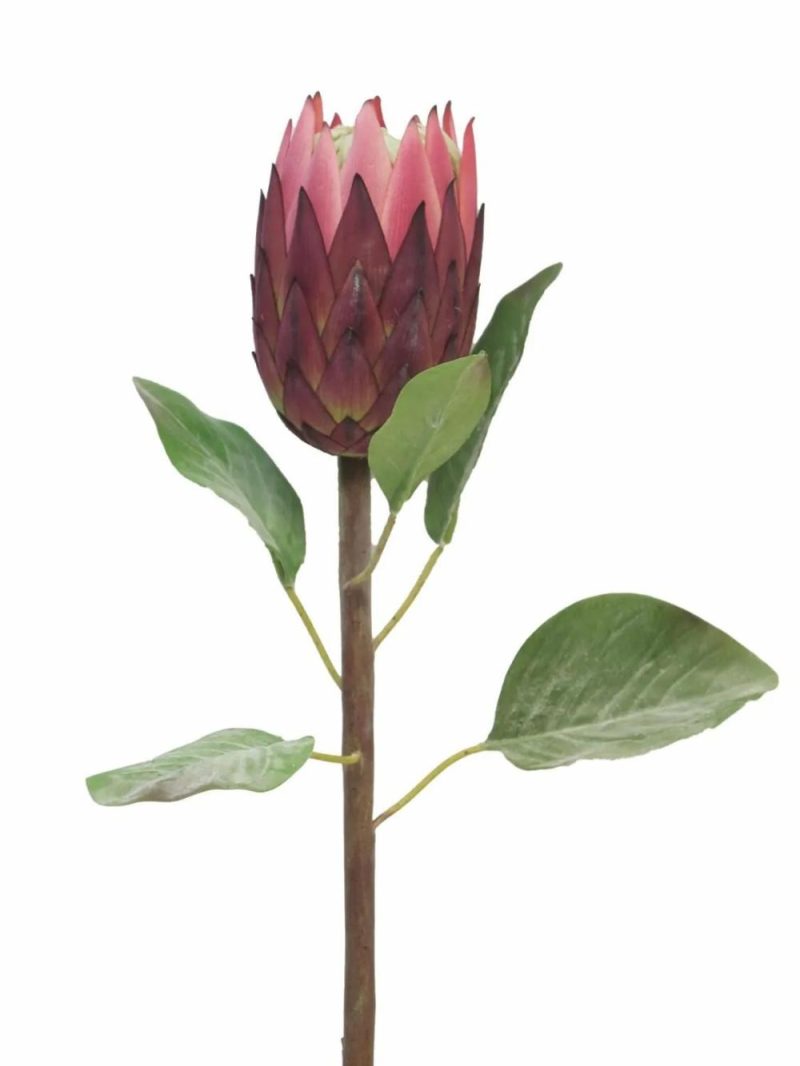 Protea | Decorative Protea Azhen, Violet, 26"/65Cm Artificial Flowers Protea