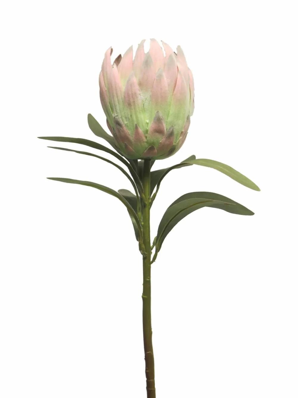 Protea | Decorative Protea Jiahui, Pink-Green, 28"/70Cm Artificial Flowers Protea