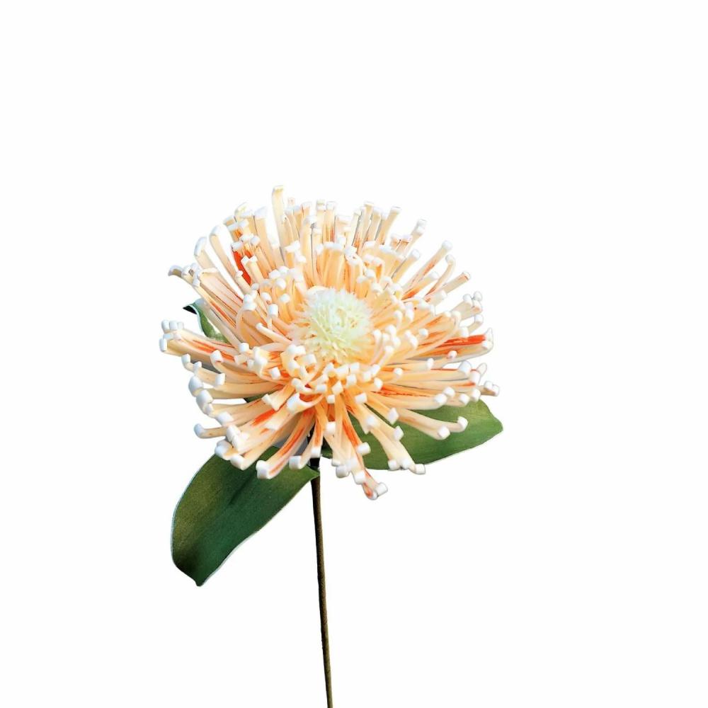 Protea | Plastic Foam Pincushion Protea Islartina, Cream-Apricot, 30"/75Cm Artificial Flowers Orange