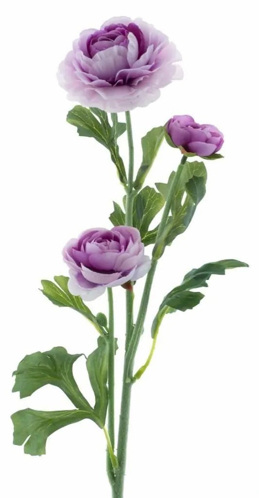 Ranunculus | Artificial Flower Ranunculus Proto, Purple-White, 26"/65Cm Artificial Flowers Purple