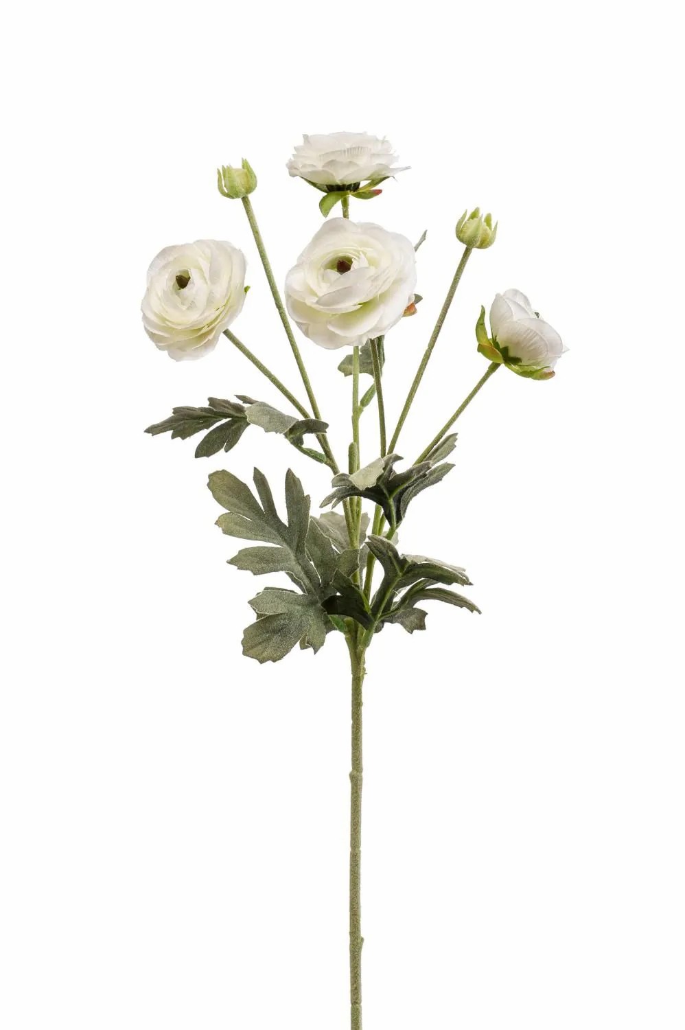 Ranunculus | Artificial Ranunculus Hibba, Cream, 26"/65 Cm Artificial Flowers Ranunculus