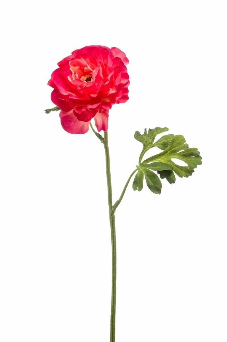 Ranunculus | Artificial Ranunculus Kristy, Fuchsia, 24"/60Cm Artificial Flowers Ranunculus