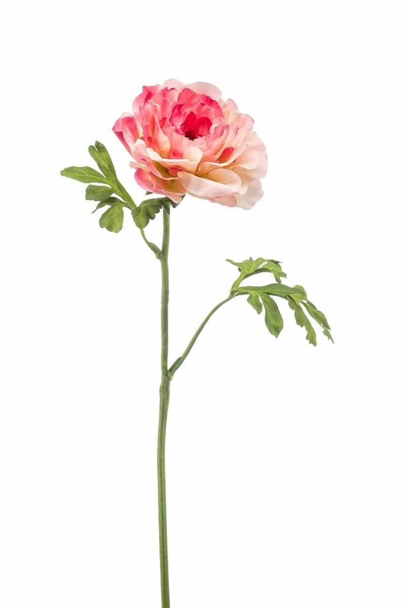 Ranunculus | Artificial Ranunculus Kristy, Pink-Fuchsia, 24"/60Cm Artificial Flowers Ranunculus